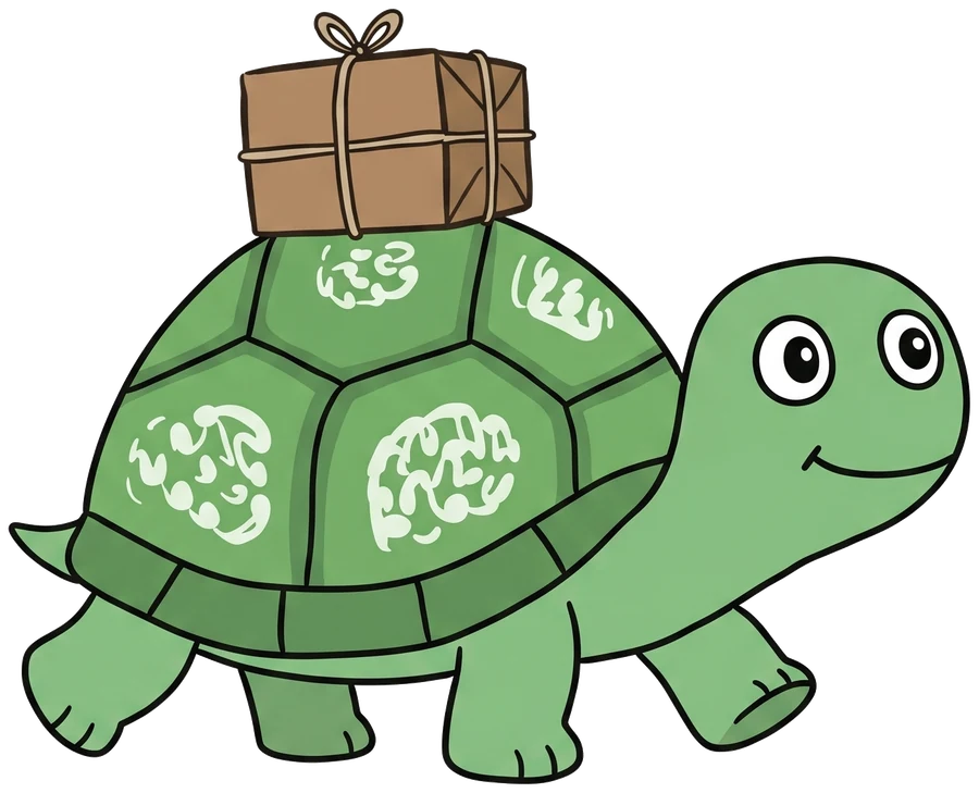 Terp the turtle carrying a parcel